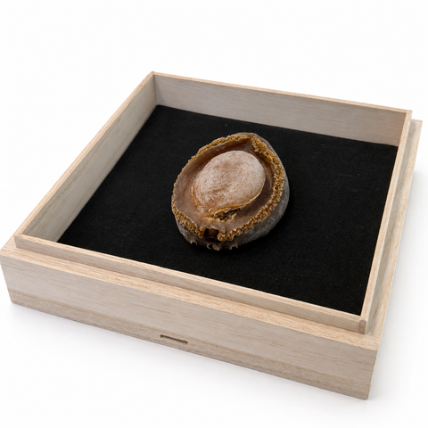 「常溫商品」冬蟲夏草 1兩(37.5克)裝