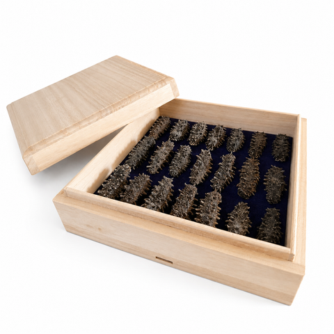 「常溫商品」冬蟲夏草 1兩(37.5克)裝