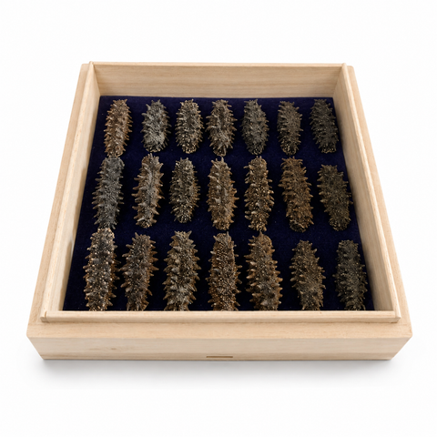 「常溫商品」冬蟲夏草 1兩(37.5克)裝