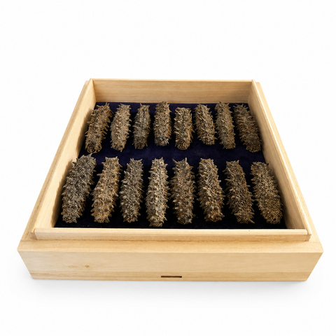 「常溫商品」冬蟲夏草 1兩(37.5克)裝