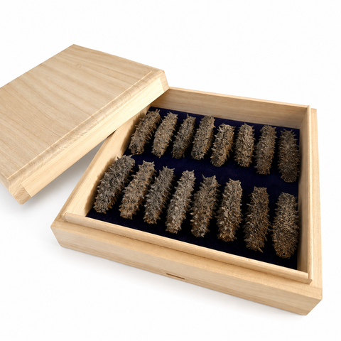 「常溫商品」冬蟲夏草 1兩(37.5克)裝