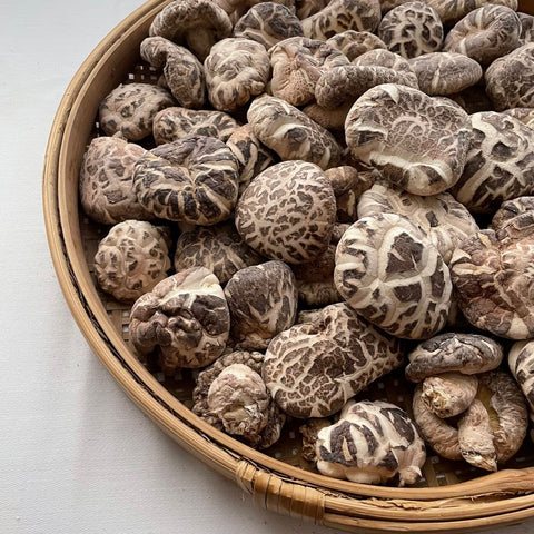 「常温商品」白花菇 100g