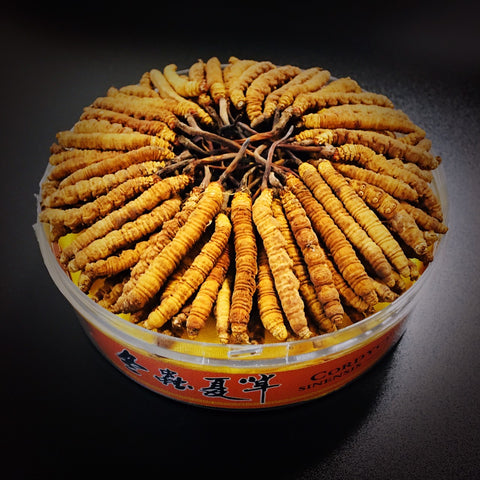 「常温商品」冬虫夏草 1両(37.5g)入