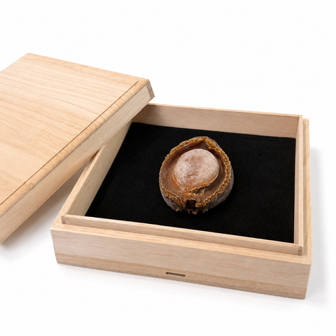 「常溫商品」冬蟲夏草 1兩（37.5克）裝