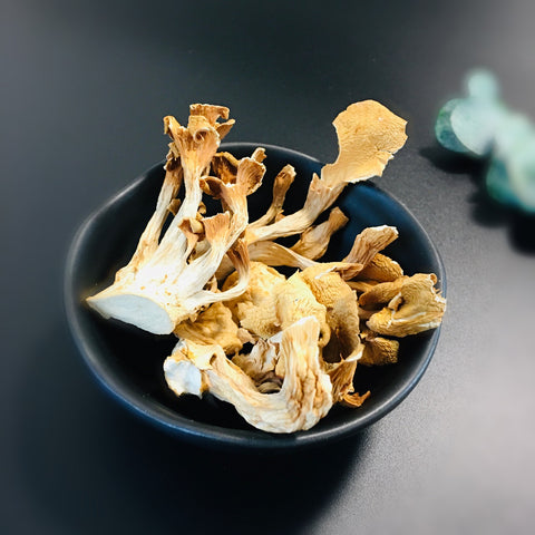 「常温商品」乾鶏油菌　50g